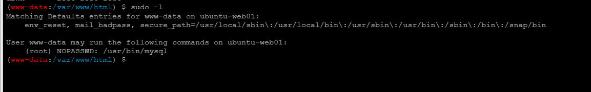image-20240825133740259