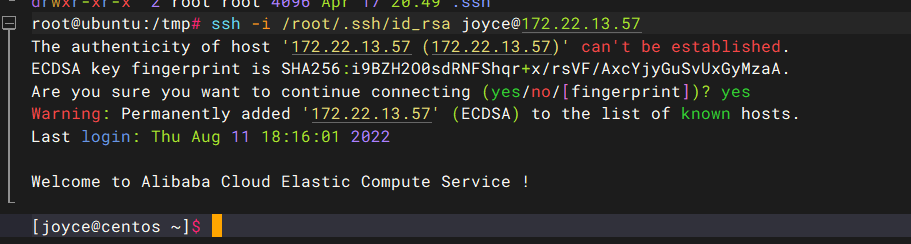 image-20250417205039774